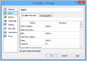 Showing the input settings in VirtualBox